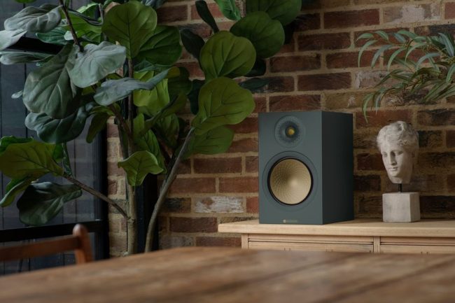 299013185_561814222125727_686988332391525257_n