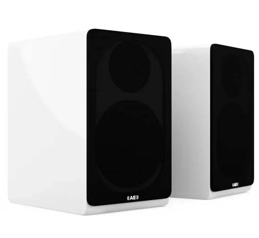 Acoustic Energy AE300 Compact Stand-Mount Loudspeakers