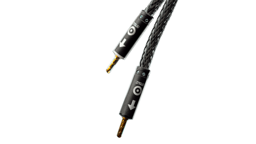 Ansuz Speakz D-TC Speaker Cable