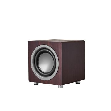 Audiovector QR Sub 10" Powered Subwoofer