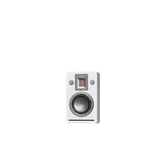 Audiovector QR Wall 2-Way On-Wall Surround Speaker