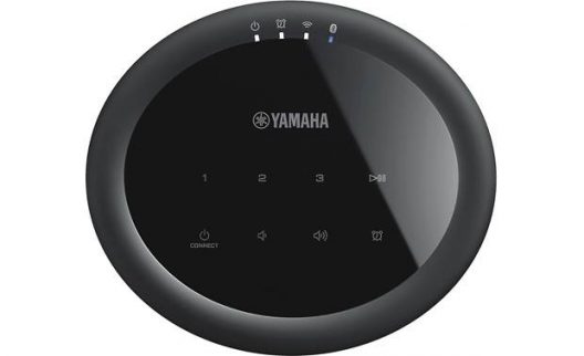 Yamaha MusicCast 20 (WX-021) Wireless powered speaker with Wi-Fi®, Bluetooth®, and Apple® AirPlay®