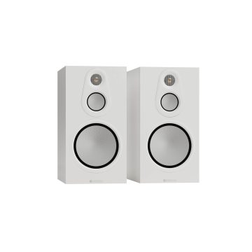 Silver 100 8G